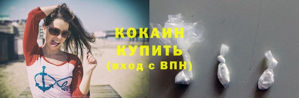 дурь Инсар