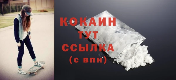 дурь Инсар