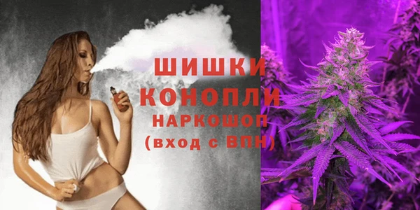 дурь Инсар