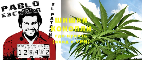 дурь Инсар
