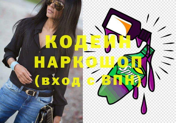 дурь Инсар