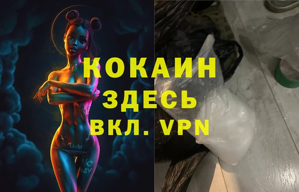 дурь Инсар