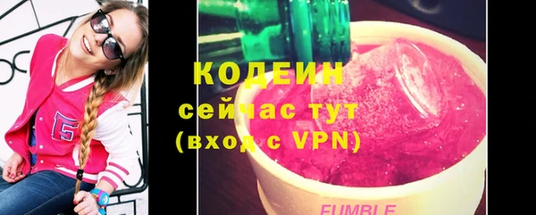 дурь Инсар