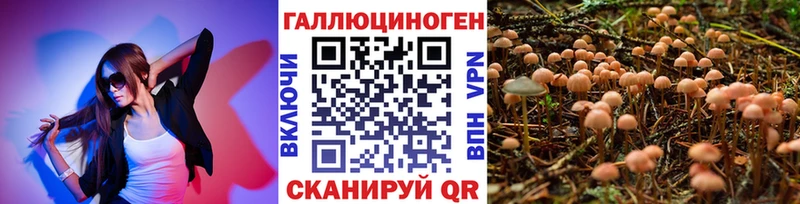 Галлюциногенные грибы мухоморы  Купить где  Николаевск-на-Амуре 